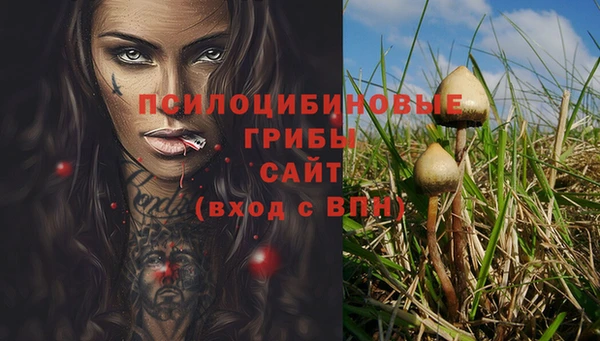 гидра Баксан