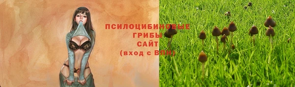 гидра Баксан